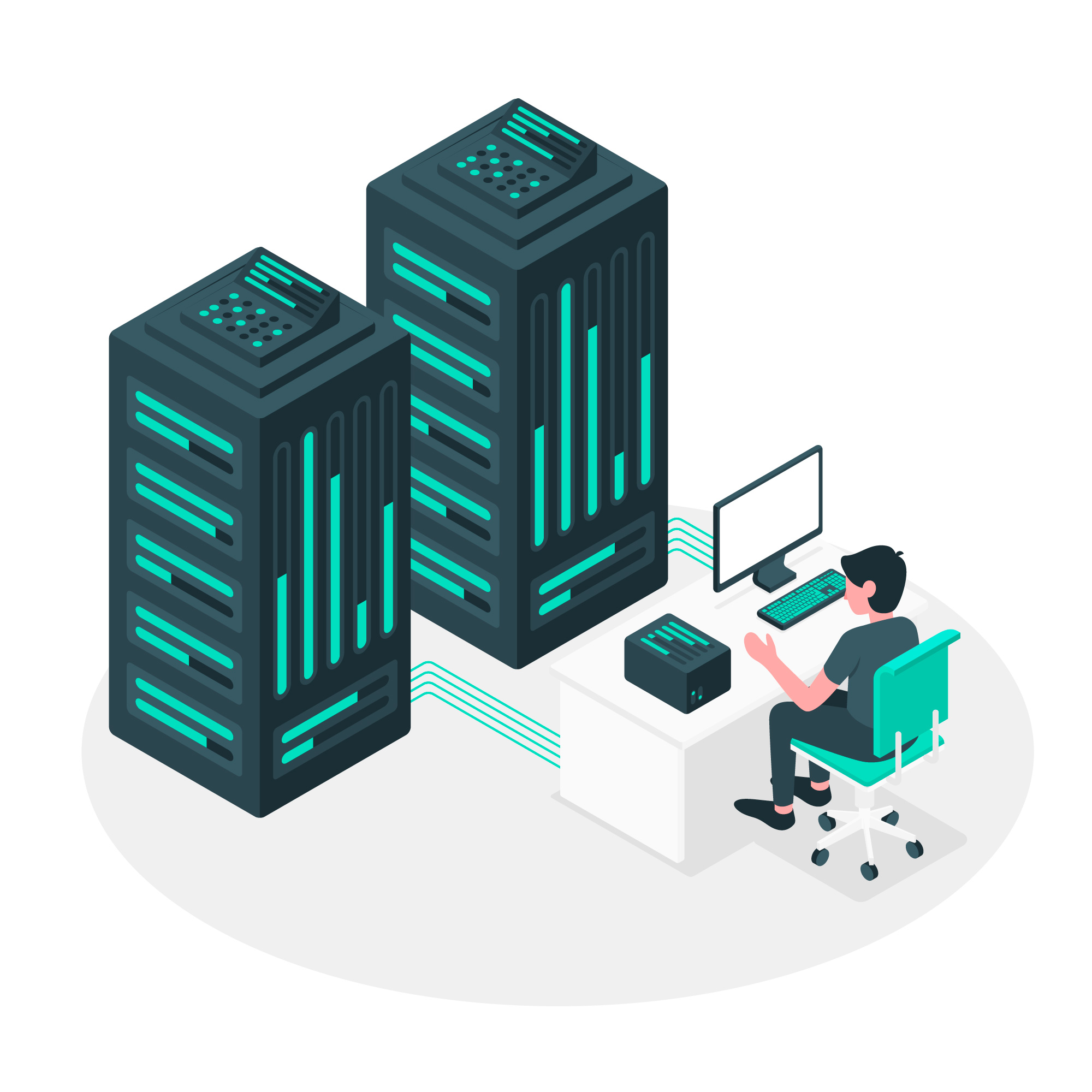 Network Engineer